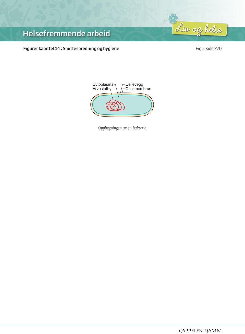 side 270 Cytoplasma Arvestoff