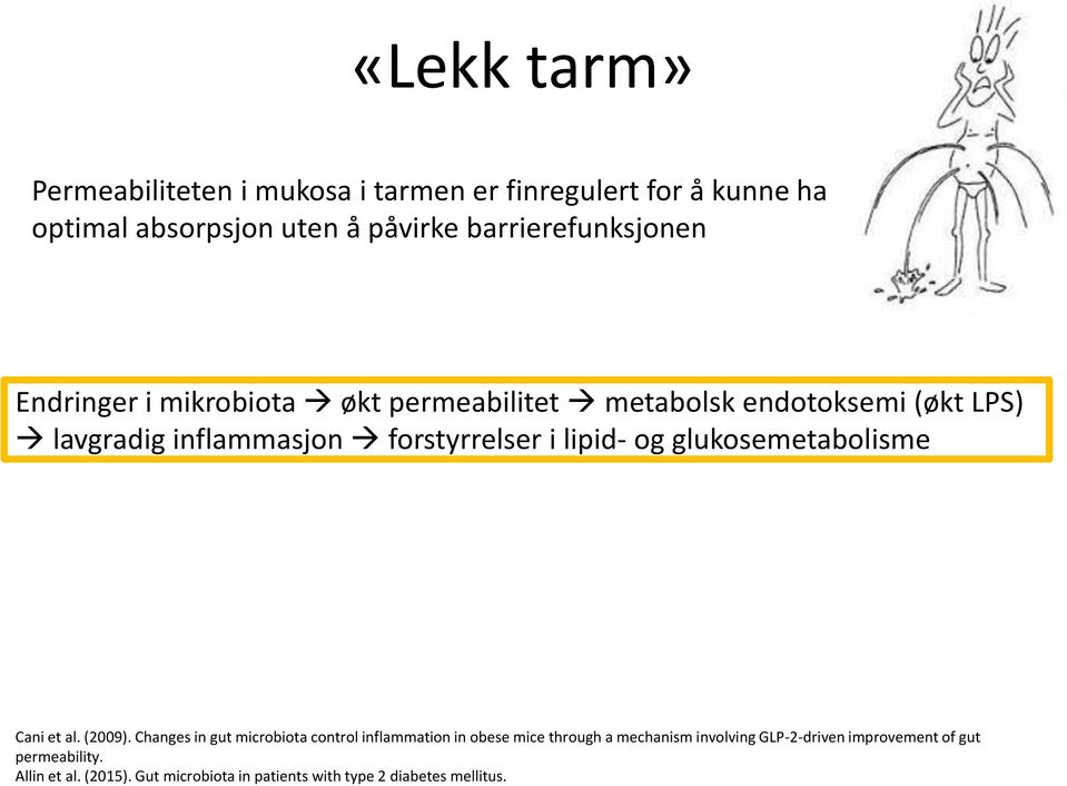 forstyrrelser i lipid- og glukosemetabolisme Cani et al. (2009).