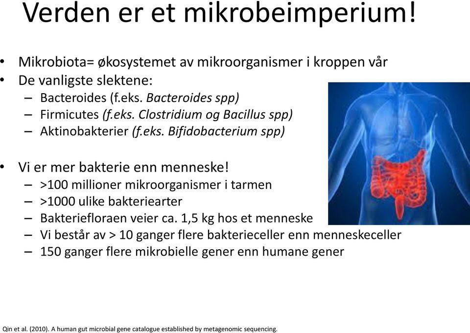 >100 millioner mikroorganismer i tarmen >1000 ulike bakteriearter Bakteriefloraen veier ca.