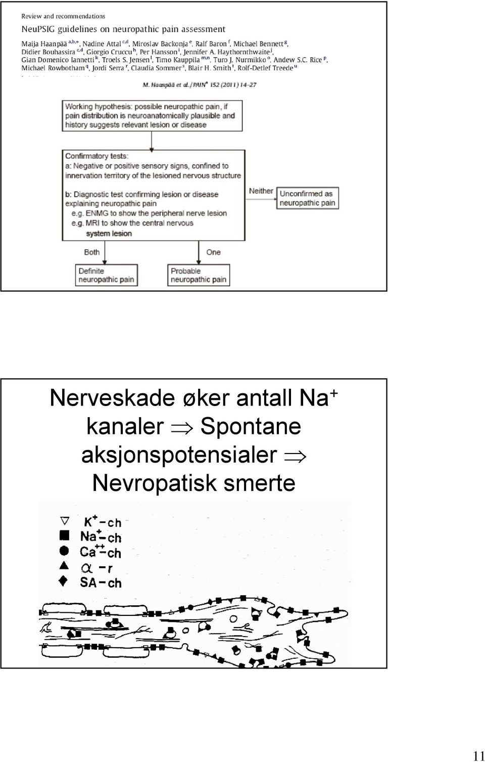 Spontane