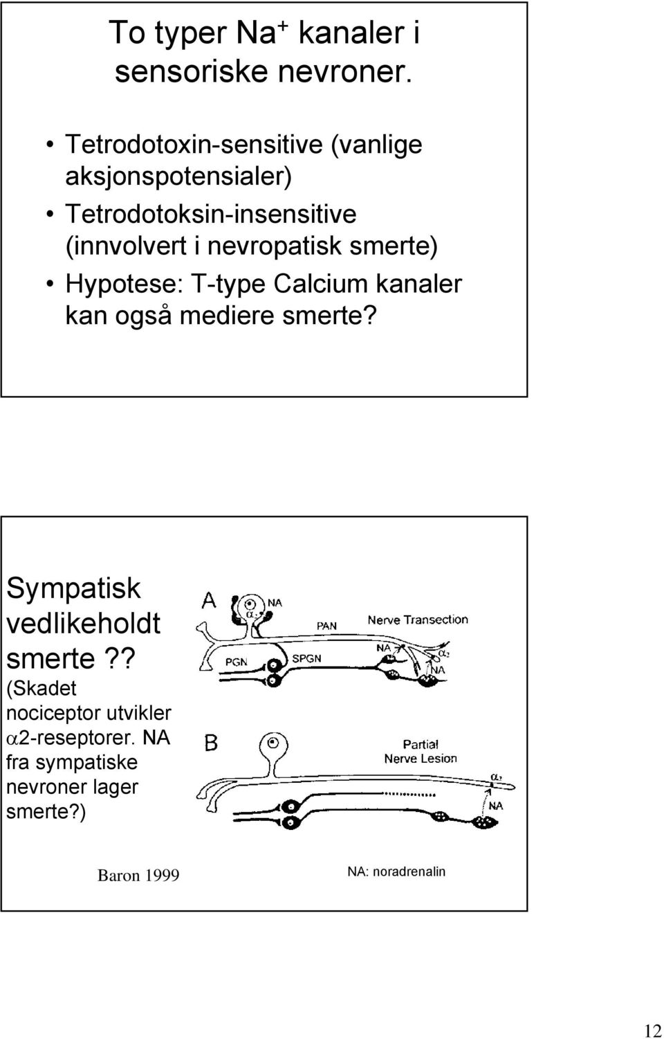 i nevropatisk smerte) Hypotese: T-type Calcium kanaler kan også mediere smerte?