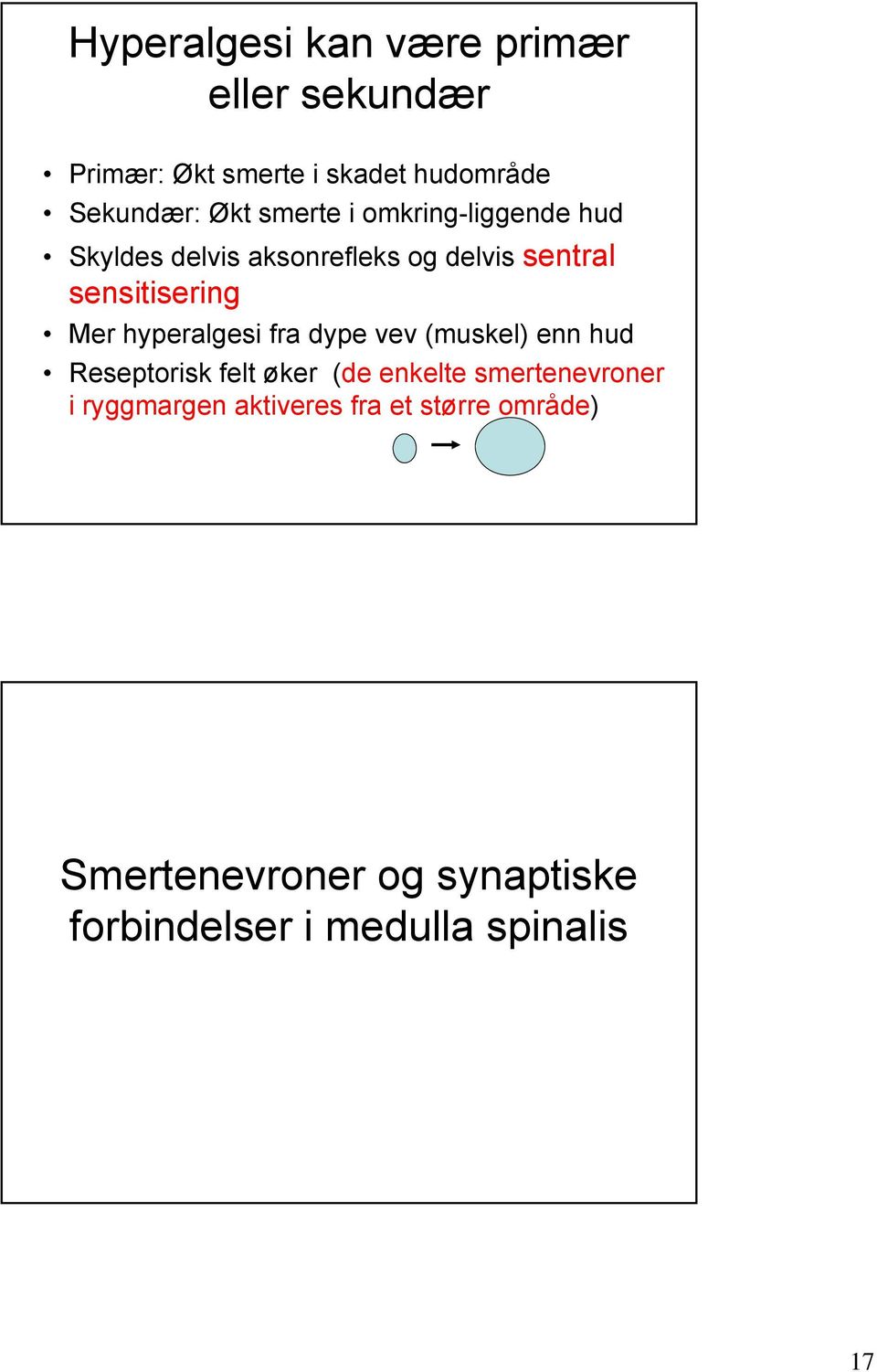 hyperalgesi fra dype vev (muskel) enn hud Reseptorisk felt øker (de enkelte smertenevroner i