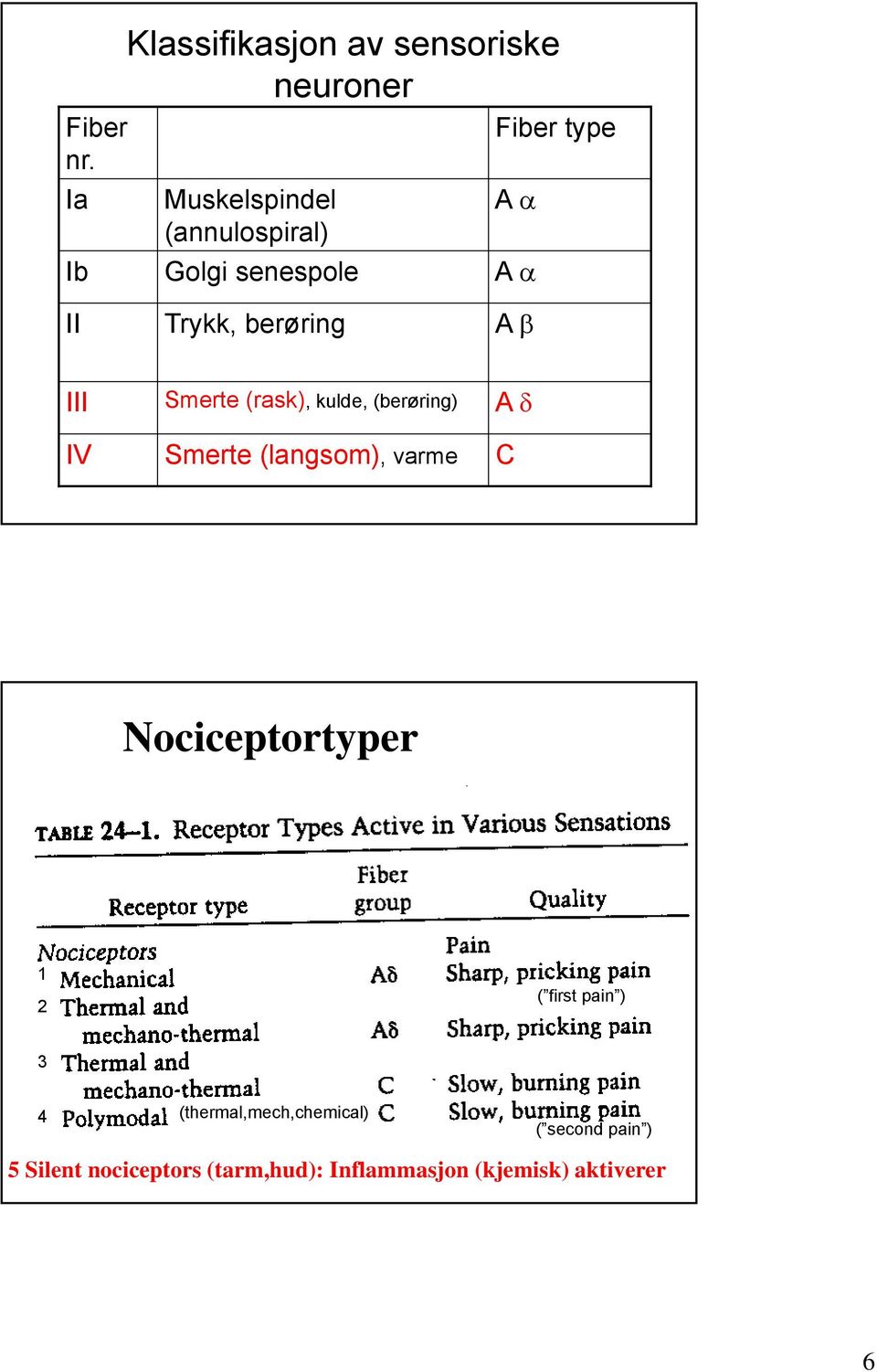 senespole Fiber type A A II Trykk, berøring A III IV Smerte (rask), kulde, (berøring)