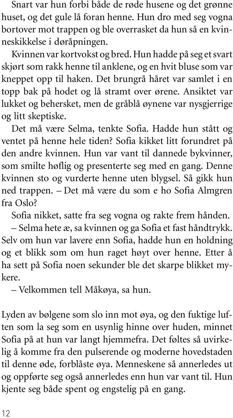 Det brungrå håret var samlet i en topp bak på hodet og lå stramt over ørene. Ansiktet var lukket og behersket, men de gråblå øynene var nysgjerrige og litt skeptiske. Det må være Selma, tenkte Sofia.