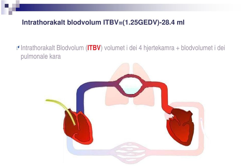 4 Volume ml Intrathorakalt Blodvolum