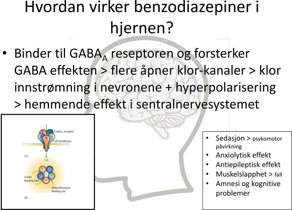 klor innstrømning i nevronene + hyperpolarisering > hemmende effekt i