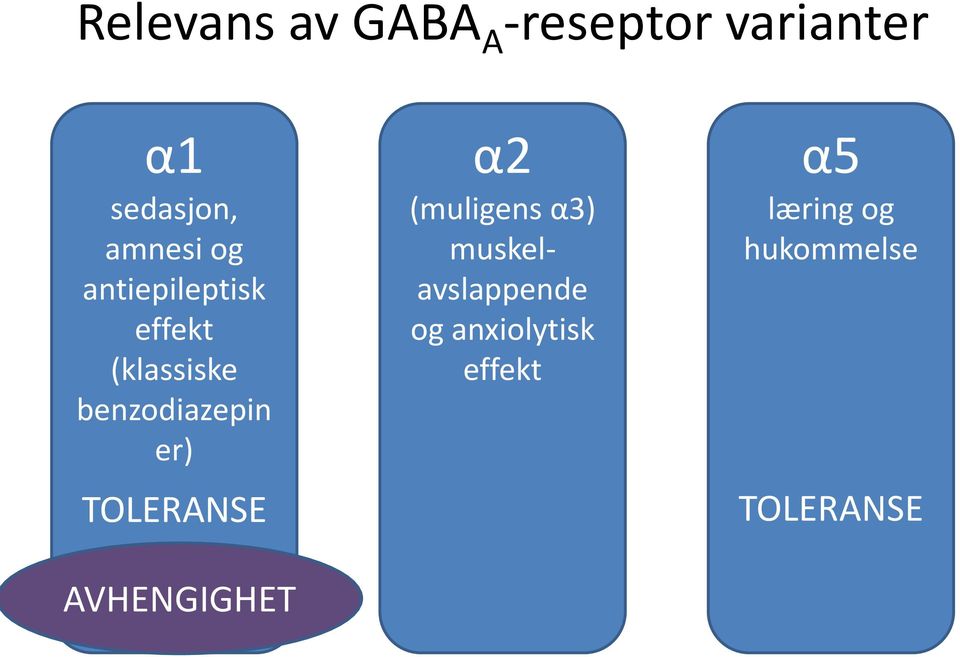 er) TOLERANSE AVHENGIGHET α2 (muligens α3)