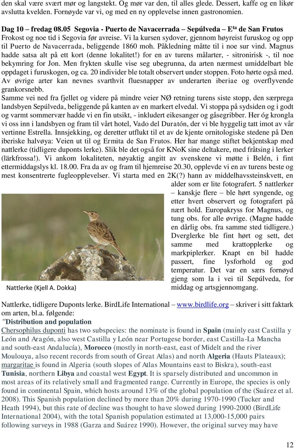 Vi la kursen sydover, gjennom høyreist furuskog og opp til Puerto de Navacerrada, beliggende 1860 moh. Påkledning måtte til i noe sur vind. Magnus hadde satsa alt på ett kort (denne lokalitet!