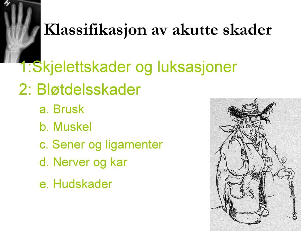 Bløtdelsskader a. Brusk b. Muskel c.