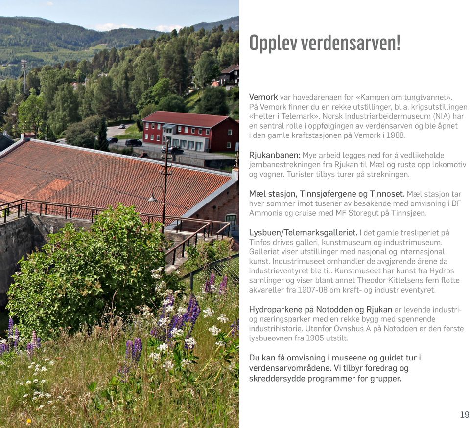 Rjukanbanen: Mye arbeid legges ned for å vedlikeholde jernbanestrekningen fra Rjukan til Mæl og ruste opp lokomotiv og vogner. Turister tilbys turer på strekningen.