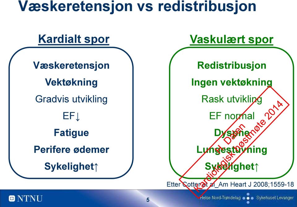 Vaskulært spor Redistribusjon Ingen vektøkning Rask utvikling EF