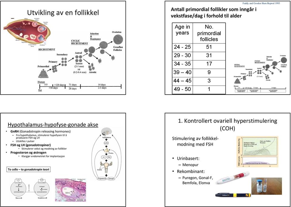 hypofysen til å produsere FSH og LH Utskilles i pulser FSH og LH (gonadotropiner) Stimulerer vekst og modning av follikler Progesteron og østrogen Klargjør endometriet for