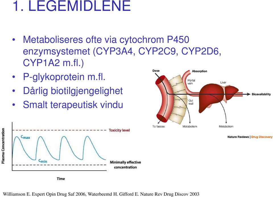 ) P-glykoprotein m.fl.