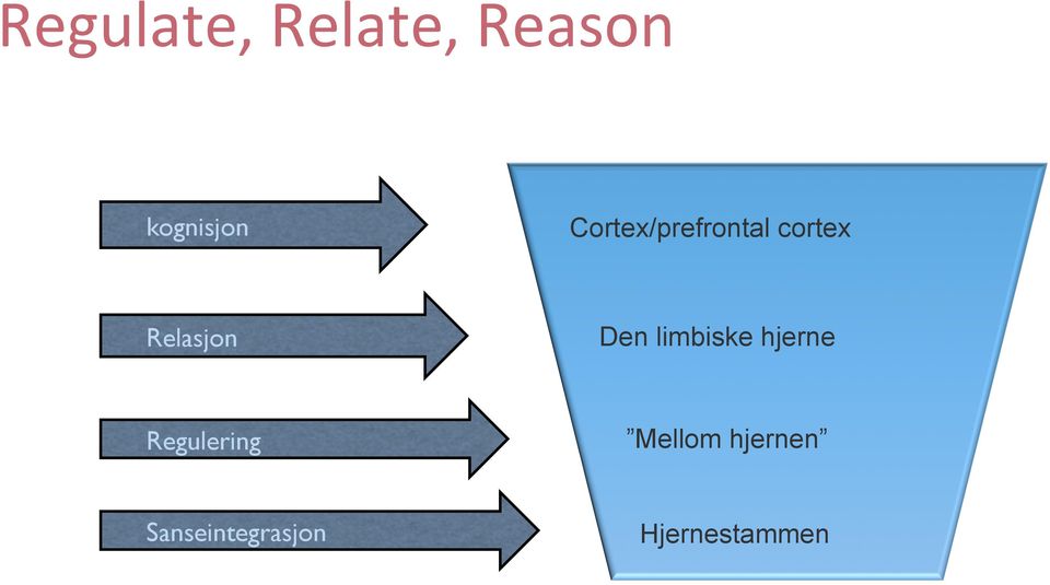 Den limbiske hjerne Regulering