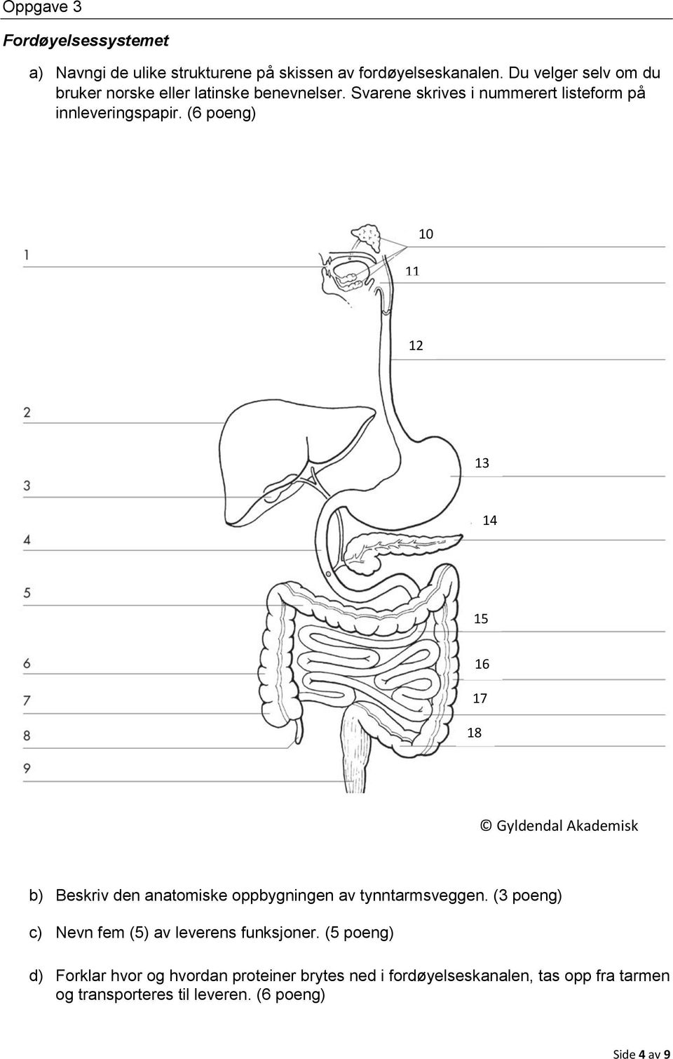 (6 poeng) 10 12 13 14 15 16 17 18 Gyldendal Akademisk b) Beskriv den anatomiske oppbygningen av tynntarmsveggen.