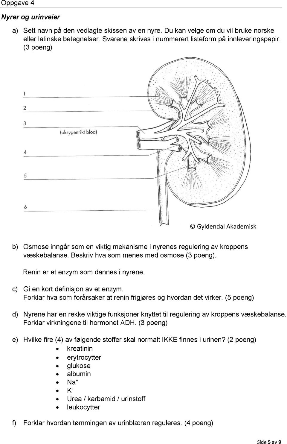 Beskriv hva som menes med osmose (3 poeng). Renin er et enzym som dannes i nyrene. c) Gi en kort definisjon av et enzym. Forklar hva som forårsaker at renin frigjøres og hvordan det virker.