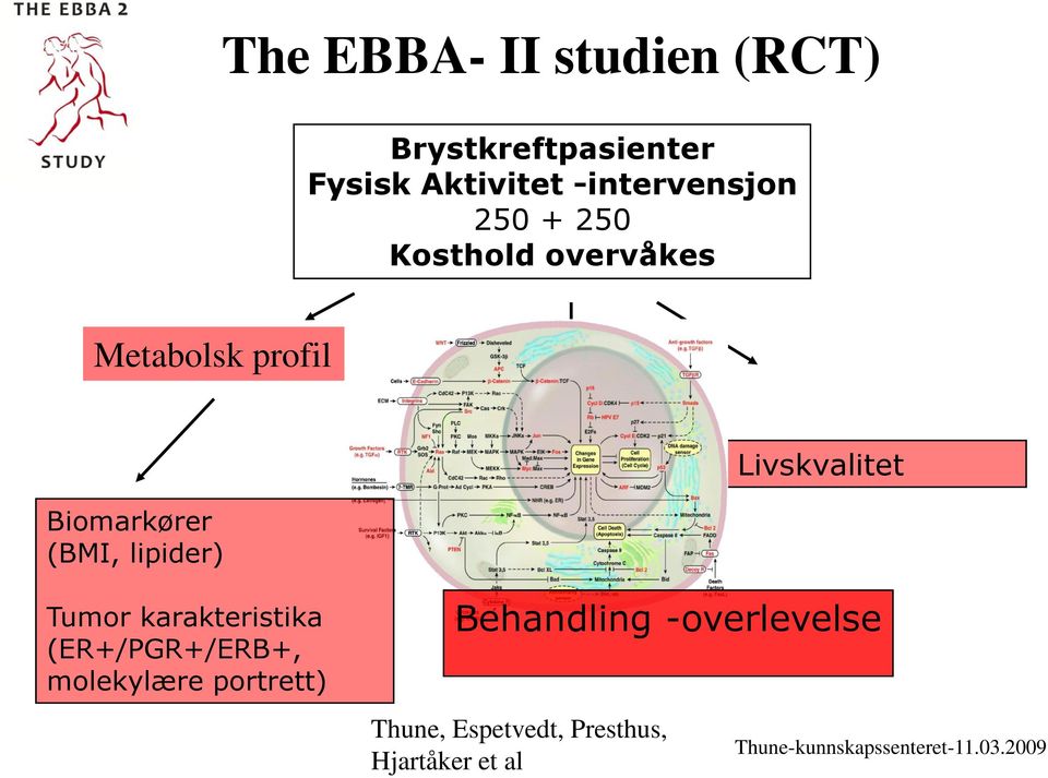 (BMI, lipider) Livskvalitet Tumor karakteristika (ER+/PGR+/ERB+,