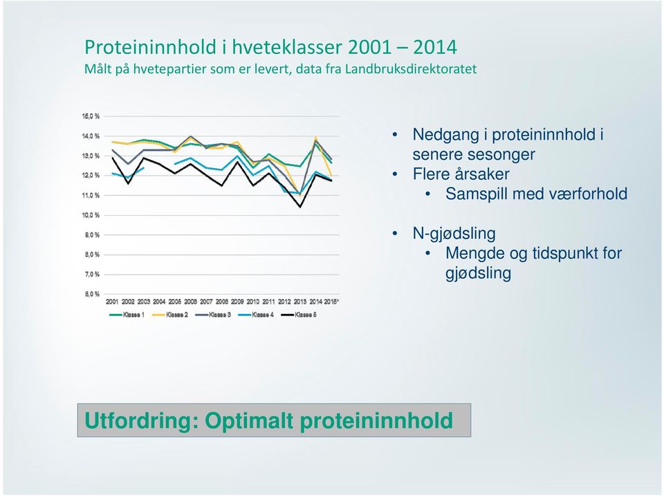 senere sesonger Flere årsaker Samspill med værforhold N-gjødsling