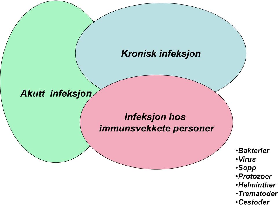 immunsvekkete personer Bakterier
