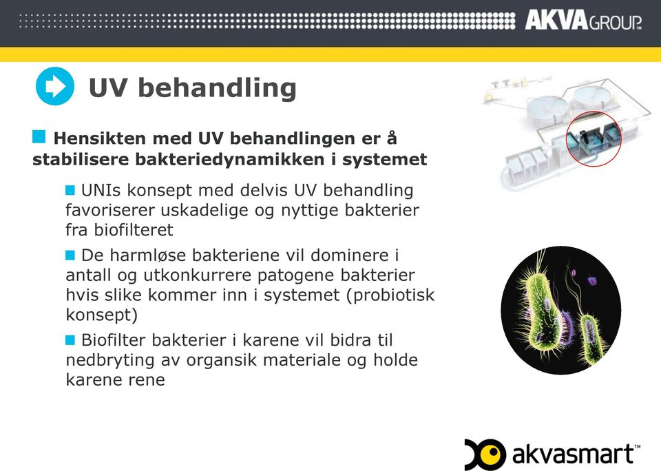 bakteriene vil dominere i antall og utkonkurrere patogene bakterier hvis slike kommer inn i systemet