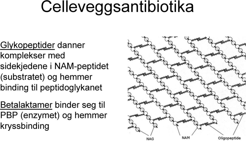 (substratet) og hemmer binding til