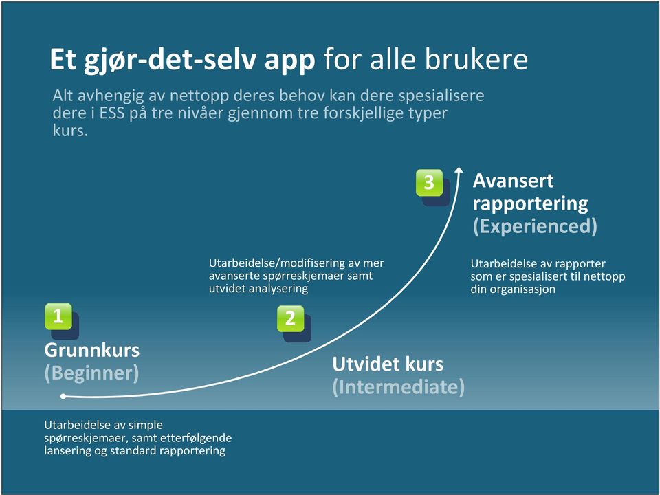 3 Avansert rapportering (Experienced) Grunnkurs (Beginner) Utarbeidelse av simple spørreskjemaer, samt etterfølgende