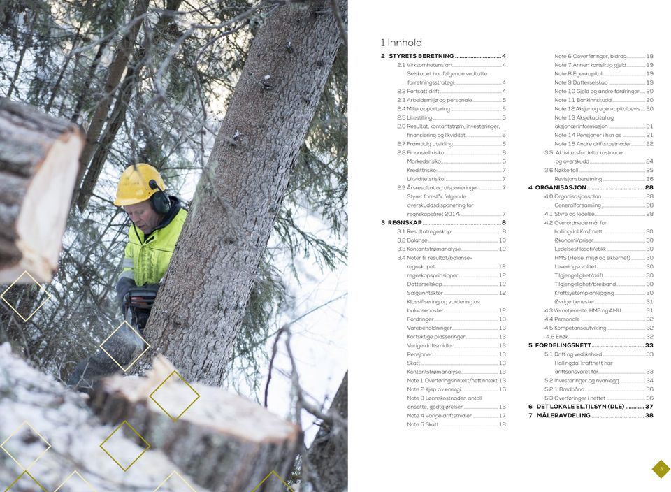 .. 6 Kredittrisiko:... 7 Likviditetsrisiko:... 7 2.9 Årsresultat og disponeringer:... 7 Styret foreslår følgende overskuddsdisponering for regnskapsåret 2014:... 7 3 REGNSKAP...8 3.1 Resultatregnskap.