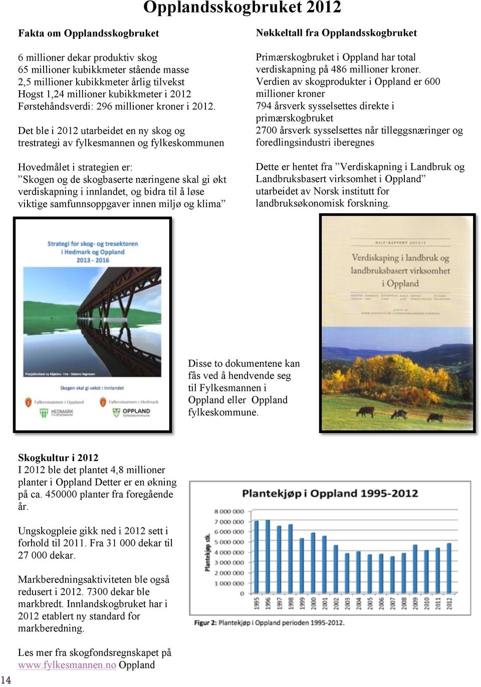 Det ble i 2012 utarbeidet en ny skog og trestrategi av fylkesmannen og fylkeskommunen Hovedmålet i strategien er: Skogen og de skogbaserte næringene skal gi økt verdiskapning i innlandet, og bidra