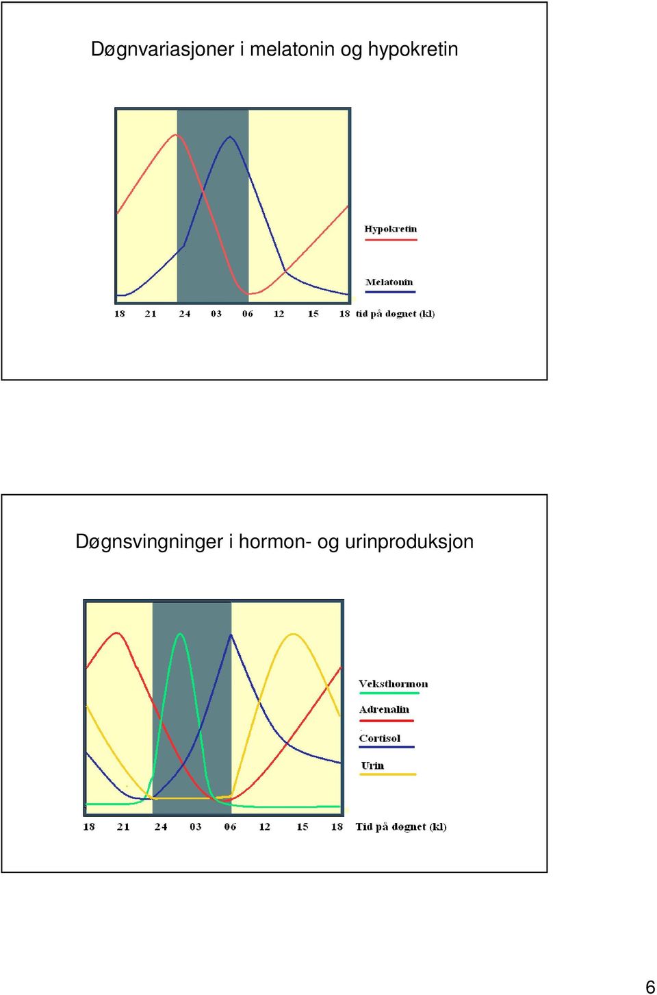 hypokretin