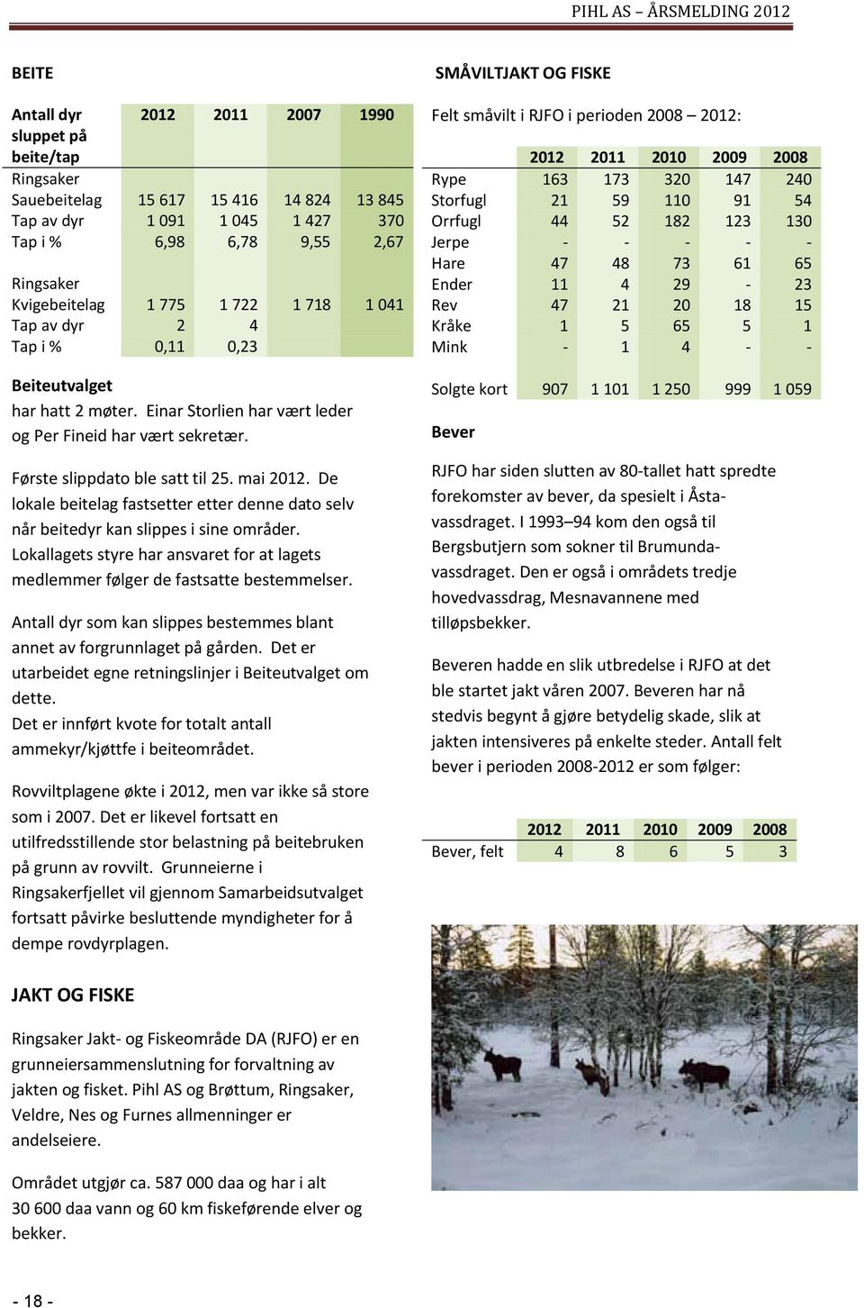 De lokale beitelag fastsetter etter denne dato selv når beitedyr kan slippes i sine områder. Lokallagets styre har ansvaret for at lagets medlemmer følger de fastsatte bestemmelser.