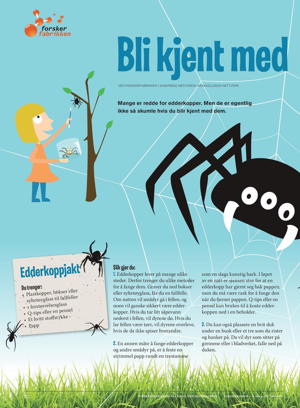 Edderkopper lever på mange ulike steder. Derfor trenger du ulike metoder for å fange dem. Graver du ned bokser eller syltetøyglass, får du en fallfelle.