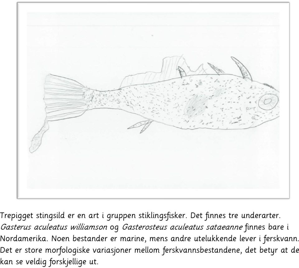 Nordamerika. Noen bestander er marine, mens andre utelukkende lever i ferskvann.