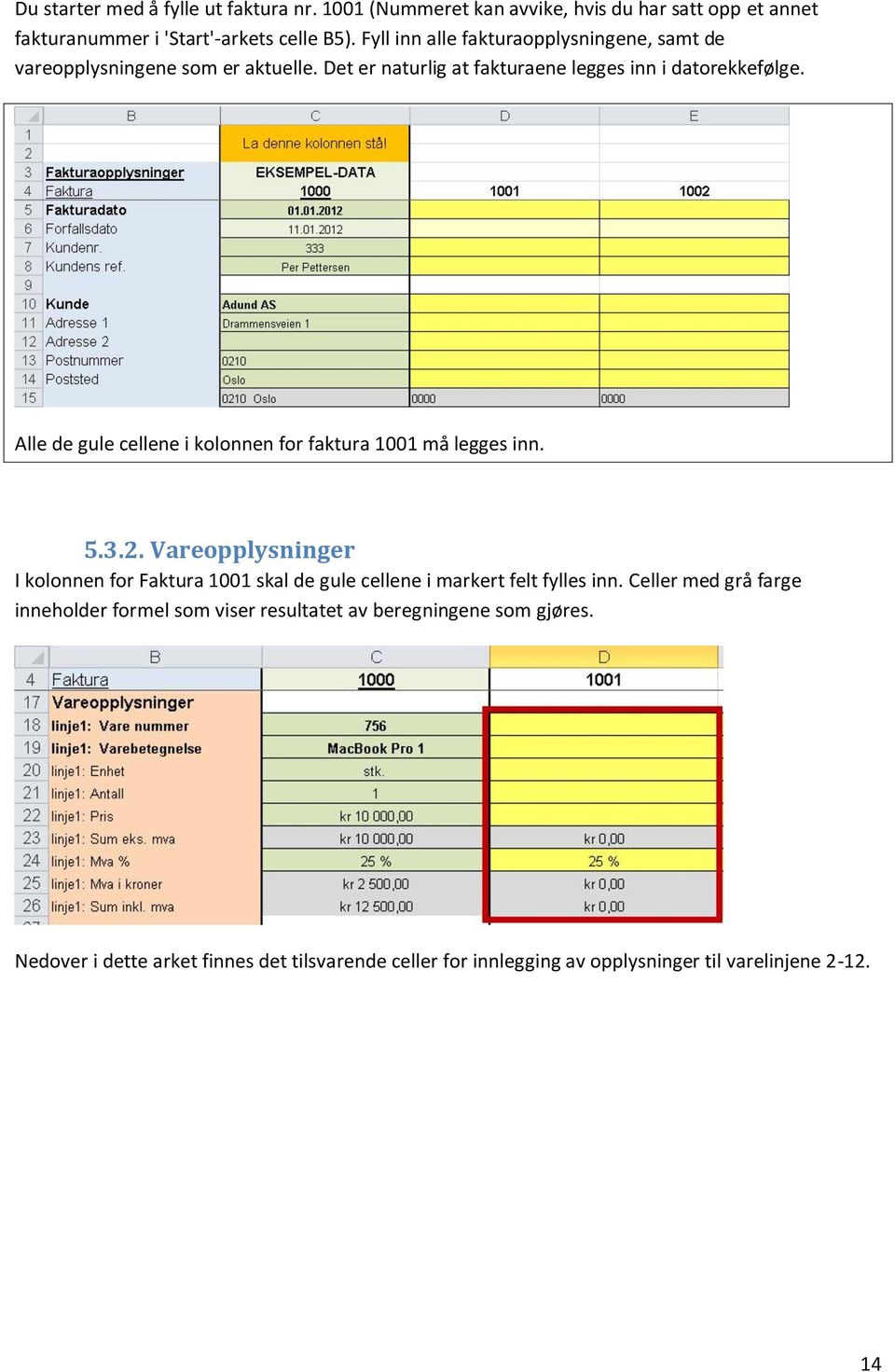 Alle de gule cellene i kolonnen for faktura 1001 må legges inn. 5.3.2.