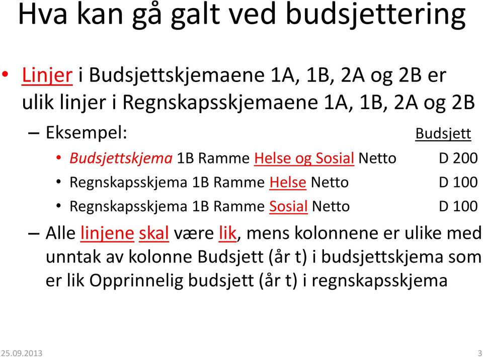 Netto D 100 Regnskapsskjema 1B Ramme Sosial Netto D 100 Alle linjene skal være lik, mens kolonnene er