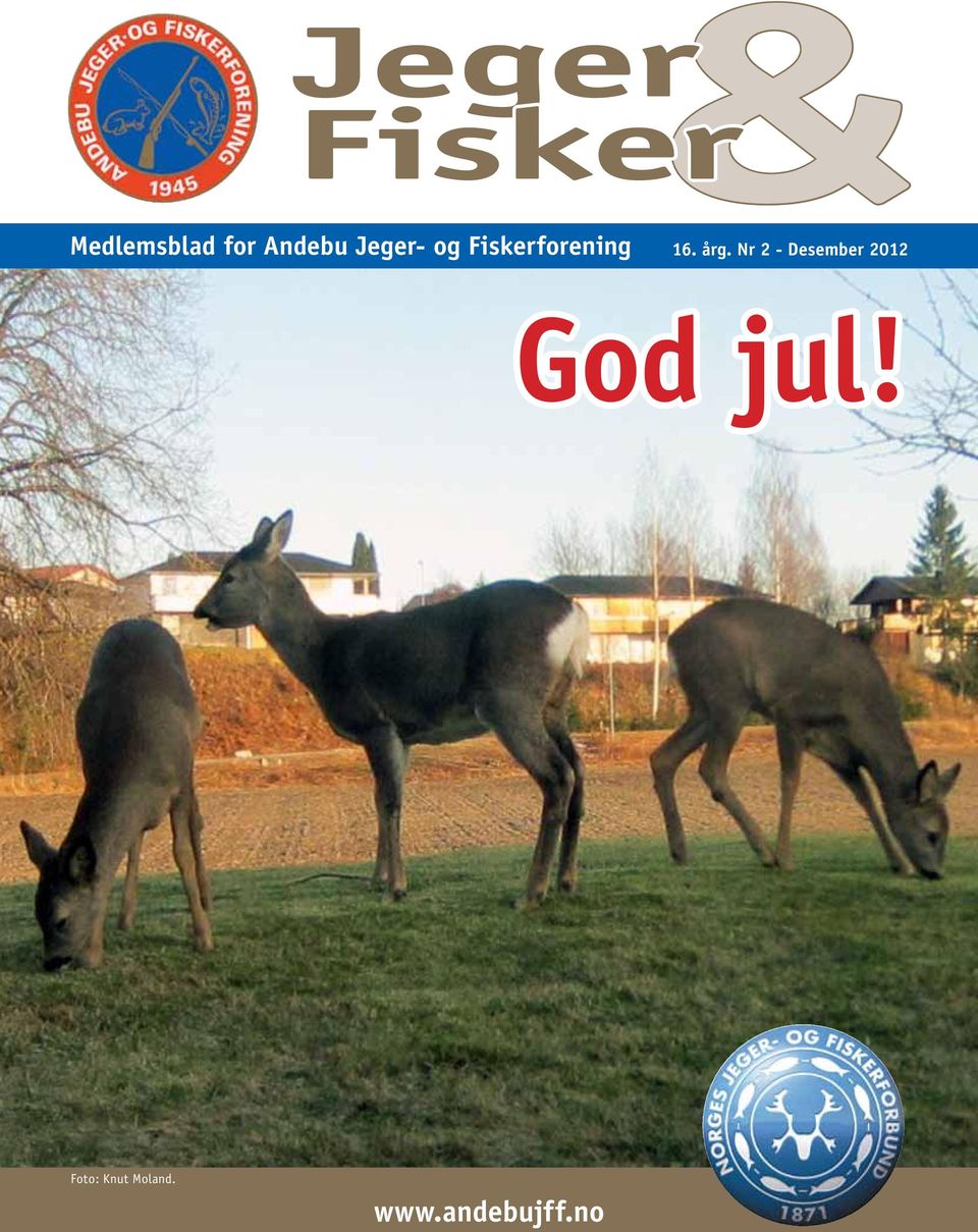 årg. Nr 2 - Desember 2012 God jul!