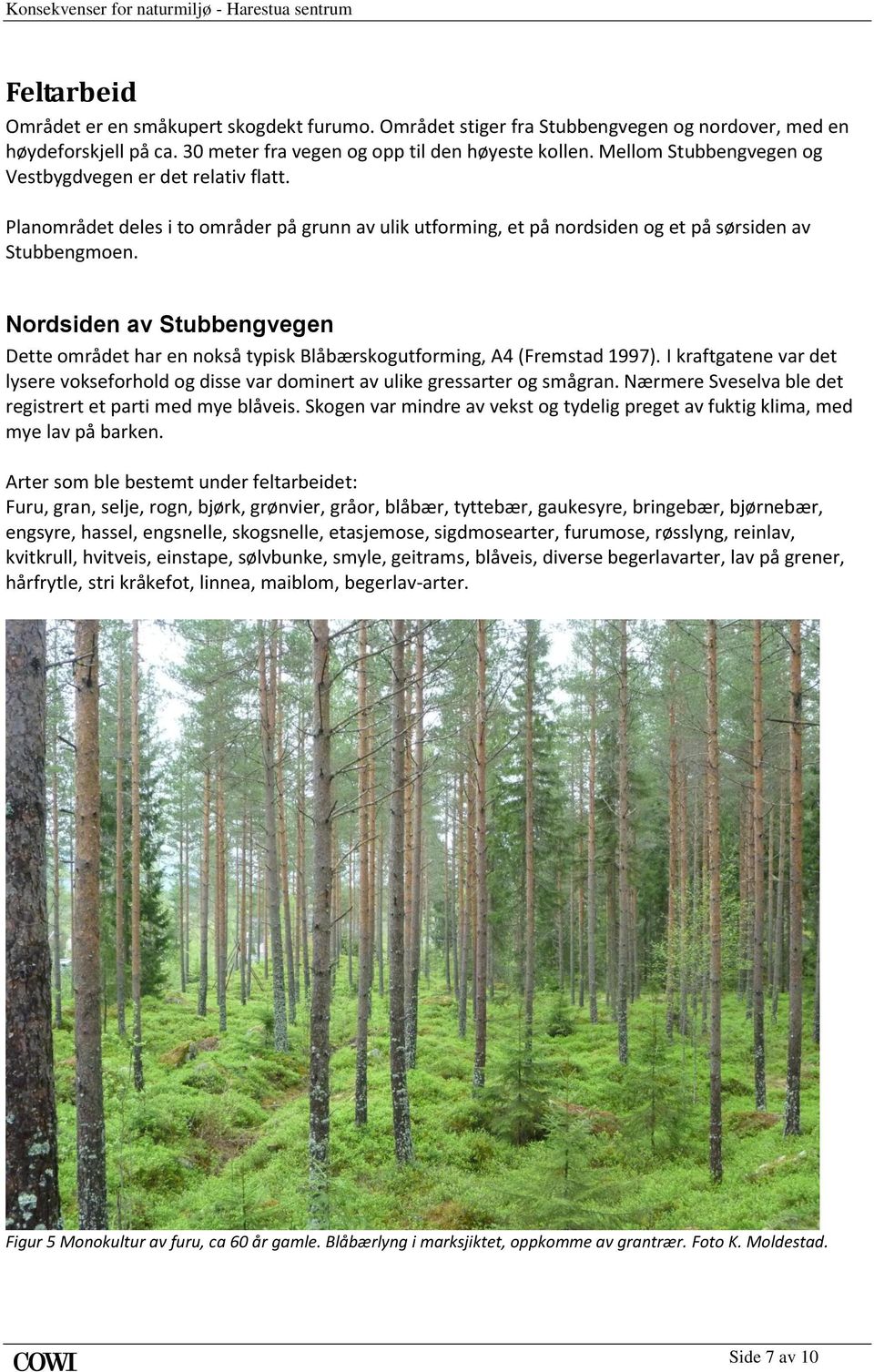 Nordsiden av Stubbengvegen Dette området har en nokså typisk Blåbærskogutforming, A4 (Fremstad 1997). I kraftgatene var det lysere vokseforhold og disse var dominert av ulike gressarter og smågran.