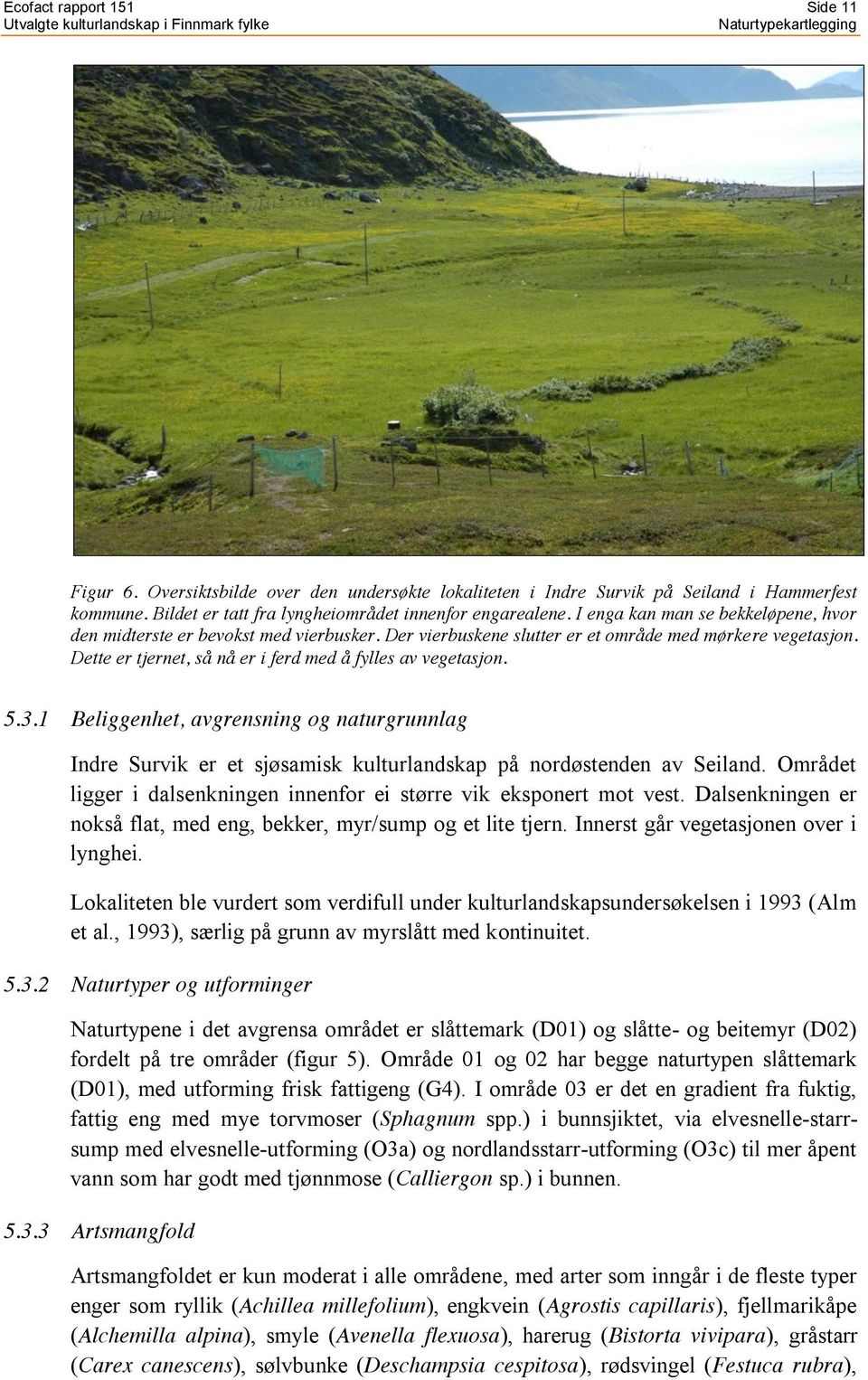 5.3.1 Beliggenhet, avgrensning og naturgrunnlag Indre Survik er et sjøsamisk kulturlandskap på nordøstenden av Seiland. Området ligger i dalsenkningen innenfor ei større vik eksponert mot vest.