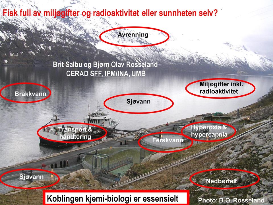 no Brakkvann Avrenning Brit Salbu og Bjørn Olav Rosseland CERAD SFF, IPM/INA, UMB