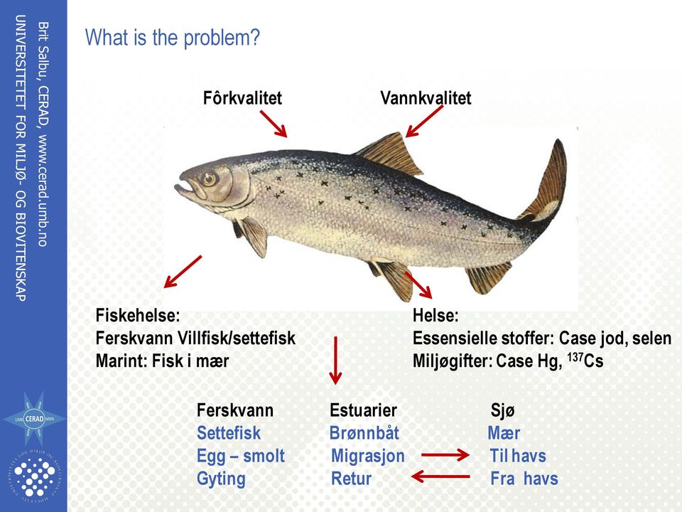 Vannkvalitet Helse: Essensielle stoffer: Case jod, selen Miljøgifter: Case Hg,