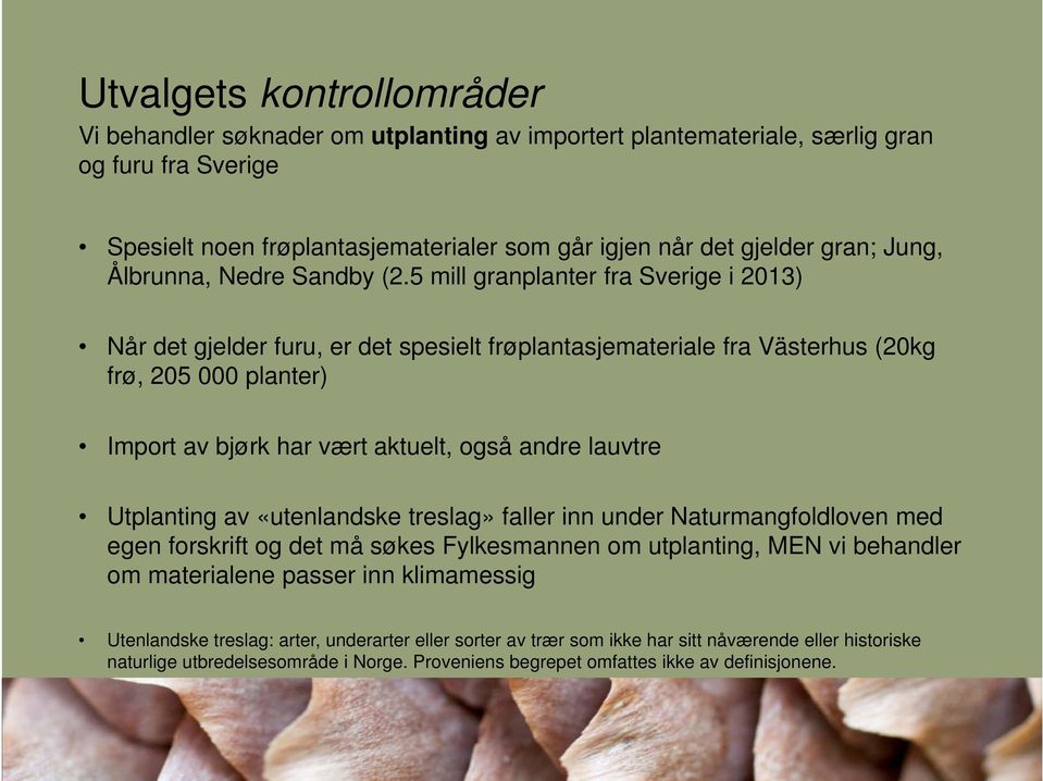 5 mill granplanter fra Sverige i 2013) Når det gjelder furu, er det spesielt frøplantasjemateriale fra Västerhus (20kg frø, 205 000 planter) Import av bjørk har vært aktuelt, også andre lauvtre