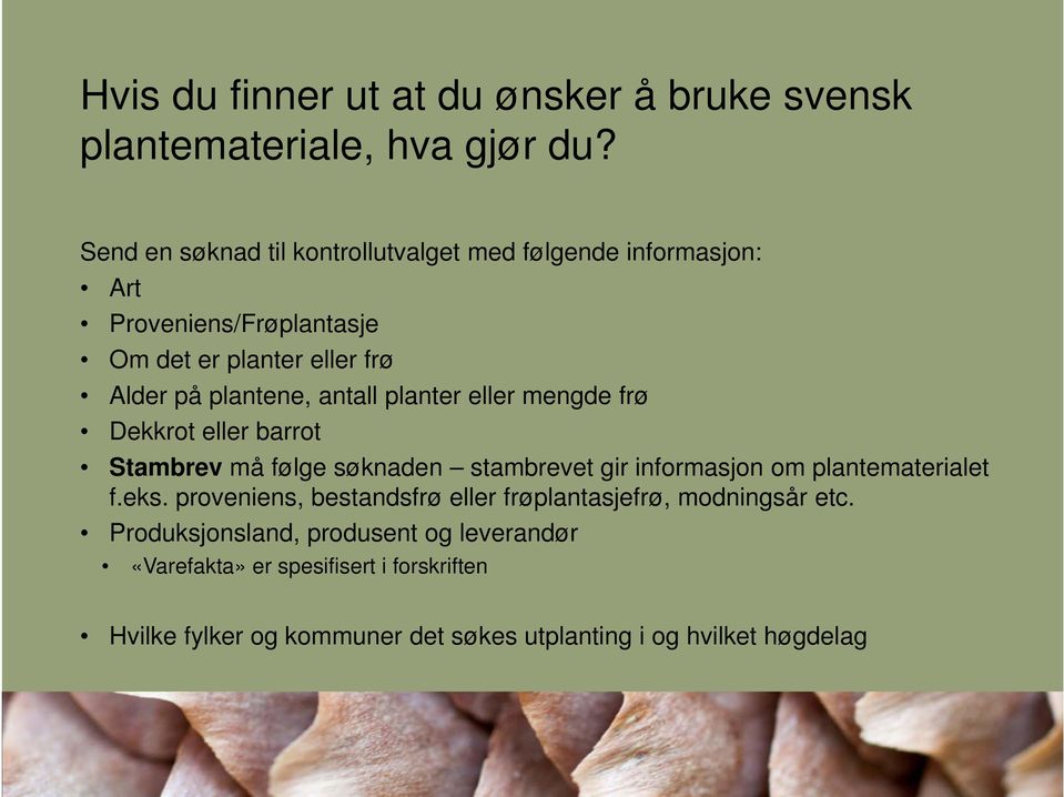 antall planter eller mengde frø Dekkrot eller barrot Stambrev må følge søknaden stambrevet gir informasjon om plantematerialet f.eks.