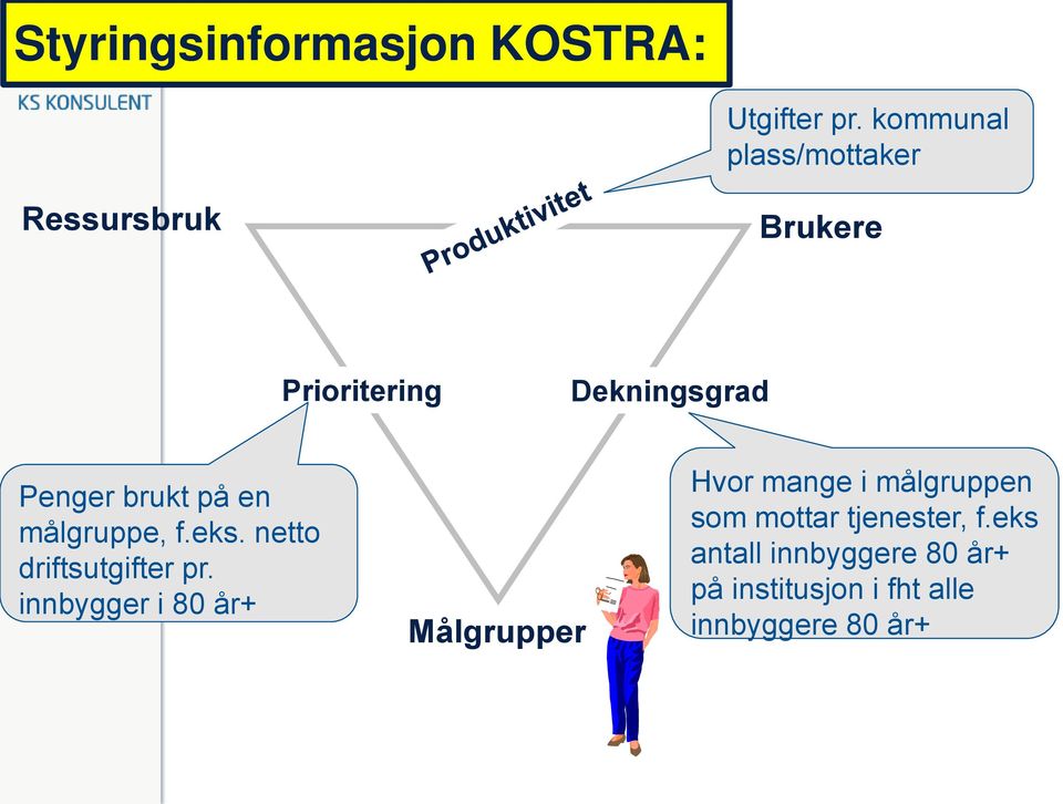 målgruppe, f.eks. netto driftsutgifter pr.