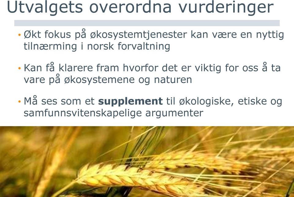 hvorfor det er viktig for oss å ta vare på økosystemene og naturen Må