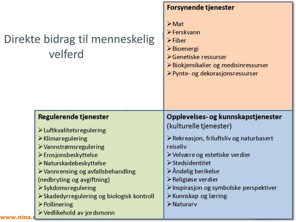 menneskelig