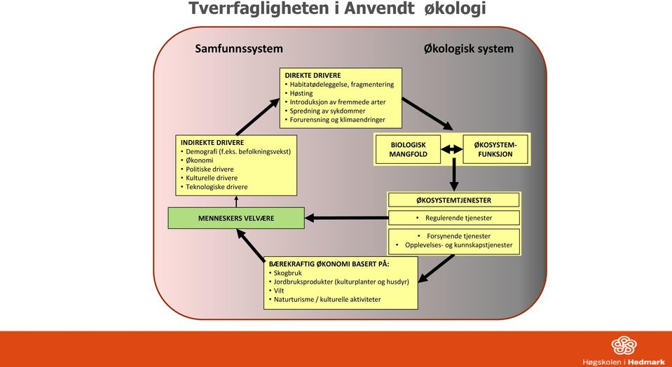 befolkningsvekst) Økonomi Politiske drivere Kulturelle drivere Teknologiske drivere BIOLOGISK MANGFOLD ØKOSYSTEMTJENESTER ØKOSYSTEM- FUNKSJON MENNESKERS