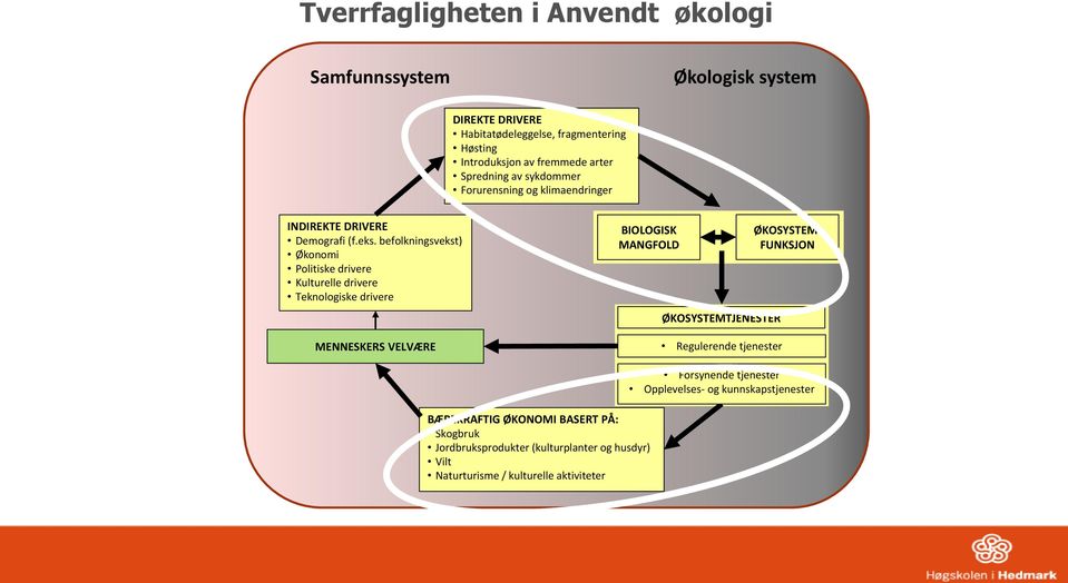 befolkningsvekst) Økonomi Politiske drivere Kulturelle drivere Teknologiske drivere BIOLOGISK MANGFOLD ØKOSYSTEMTJENESTER ØKOSYSTEM- FUNKSJON MENNESKERS