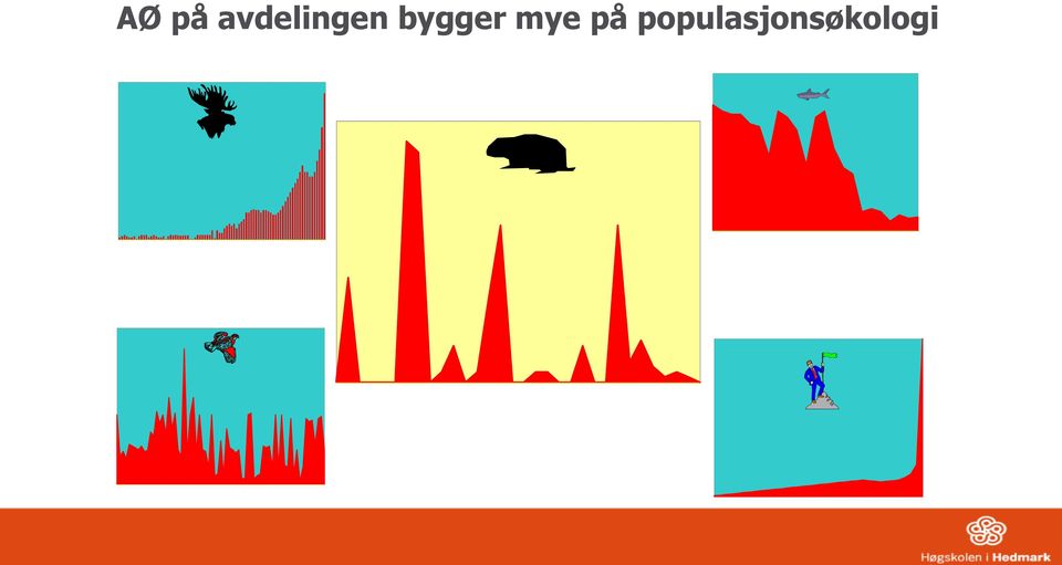 bygger mye