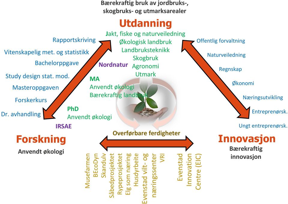avhandling Bærekraftig bruk av jordbruks-, skogbruks- og utmarksarealer Utdanning Jakt, fiske og naturveiledning Økologisk landbruk Landbruksteknikk Nordnatur Skogbruk Agronomi