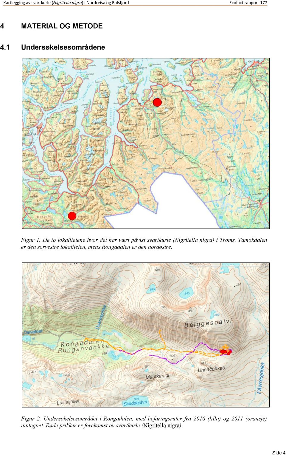 Tamokdalen er den sørvestre lokaliteten, mens Rongadalen er den nordøstre. Figur 2.