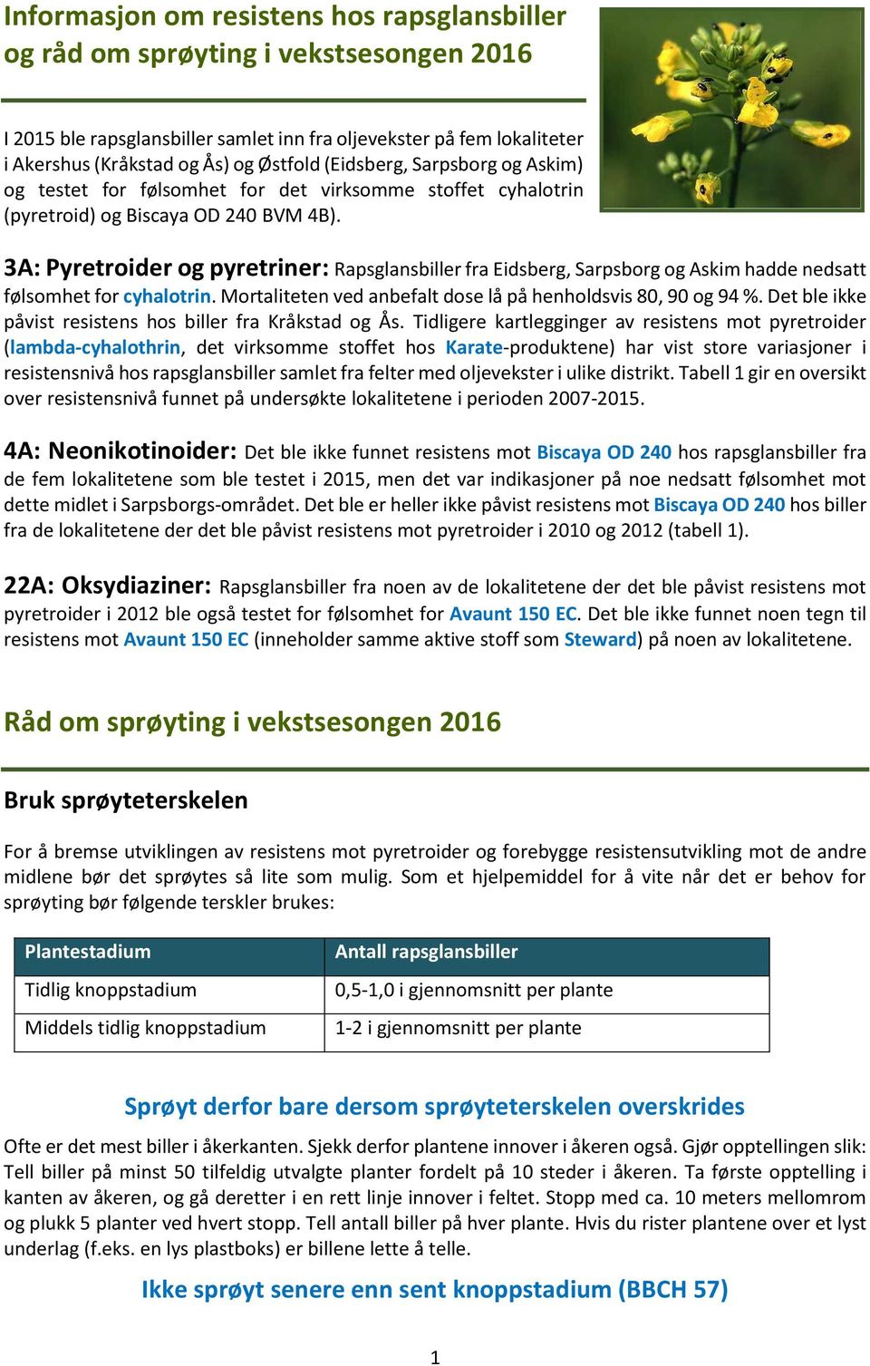 3A: : Rapsglansbiller fra Eidsberg, Sarpsborg og Askim hadde nedsatt følsomhet for cyhalotrin. Mortaliteten ved anbefalt dose lå på henholdsvis 80, 90 og 94 %.